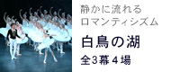 白鳥の湖