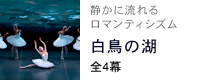 白鳥の湖