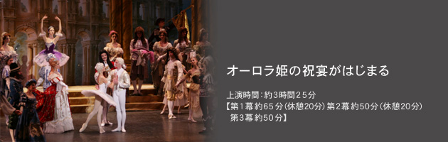 オーロラ姫の祝宴がはじまる