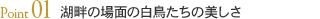Point01 湖畔の場面の白鳥たちの美しさ